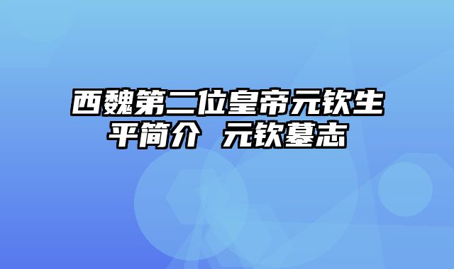 西魏第二位皇帝元钦生平简介 元钦墓志