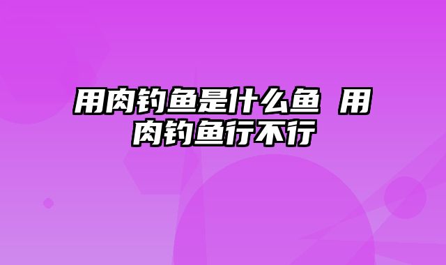 用肉钓鱼是什么鱼 用肉钓鱼行不行