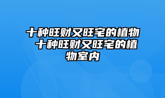 十种旺财又旺宅的植物 十种旺财又旺宅的植物室内