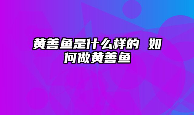 黄善鱼是什么样的 如何做黄善鱼