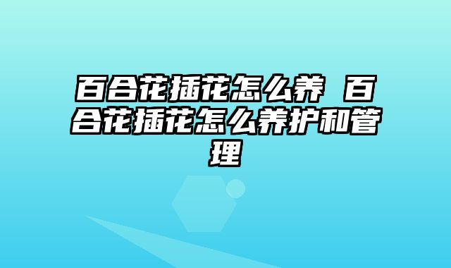 百合花插花怎么养 百合花插花怎么养护和管理