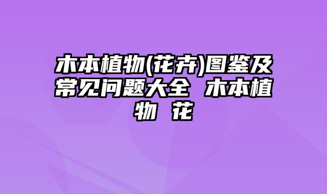 木本植物(花卉)图鉴及常见问题大全 木本植物 花