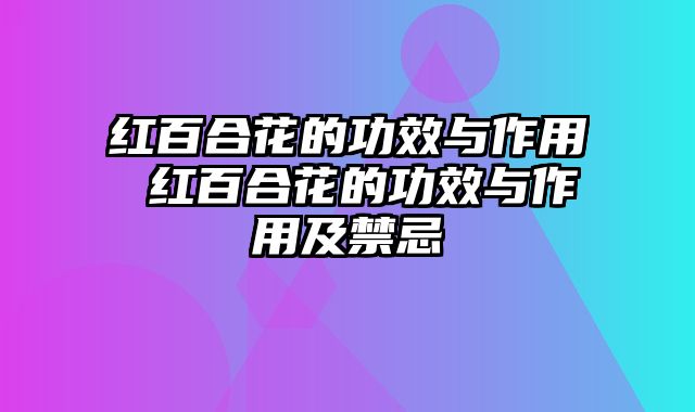 红百合花的功效与作用 红百合花的功效与作用及禁忌