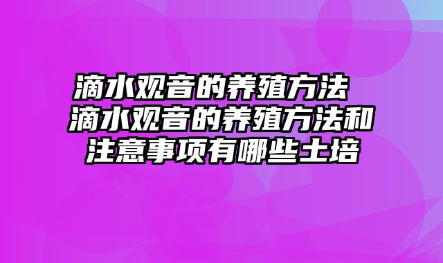 滴水观音的养殖方法 滴水观音的养殖方法和注意事项有哪些土培