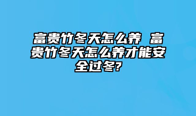 富贵竹冬天怎么养 富贵竹冬天怎么养才能安全过冬?
