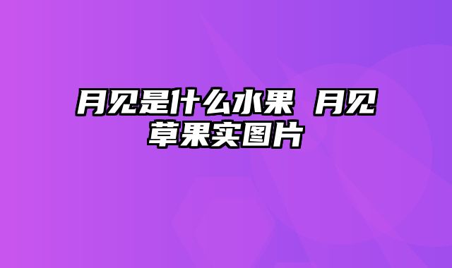 月见是什么水果 月见草果实图片