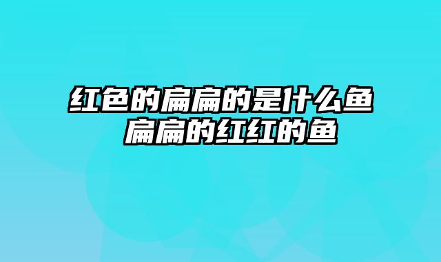 红色的扁扁的是什么鱼 扁扁的红红的鱼