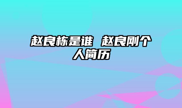 赵良栋是谁 赵良刚个人简历