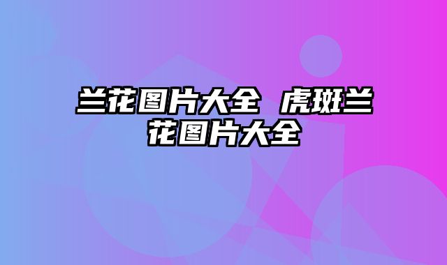 兰花图片大全 虎斑兰花图片大全