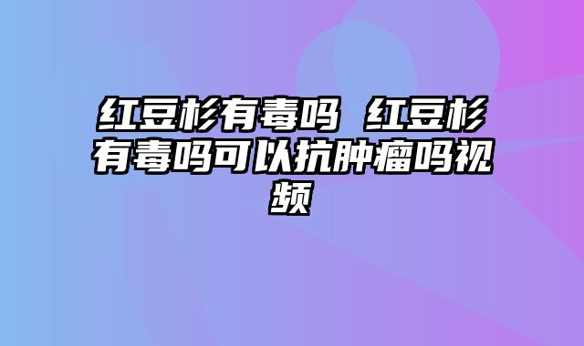 红豆杉有毒吗 红豆杉有毒吗可以抗肿瘤吗视频