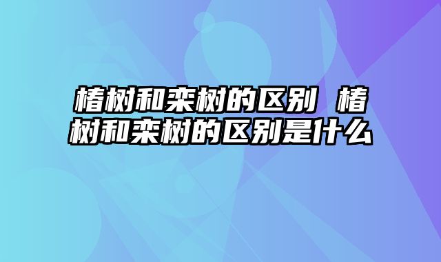椿树和栾树的区别 椿树和栾树的区别是什么