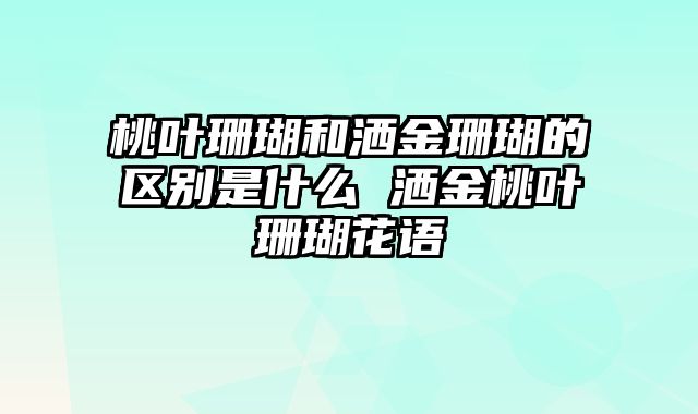桃叶珊瑚和洒金珊瑚的区别是什么 洒金桃叶珊瑚花语