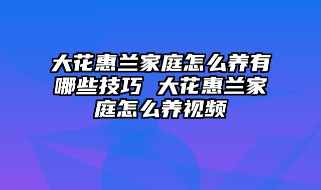 大花惠兰家庭怎么养有哪些技巧 大花惠兰家庭怎么养视频