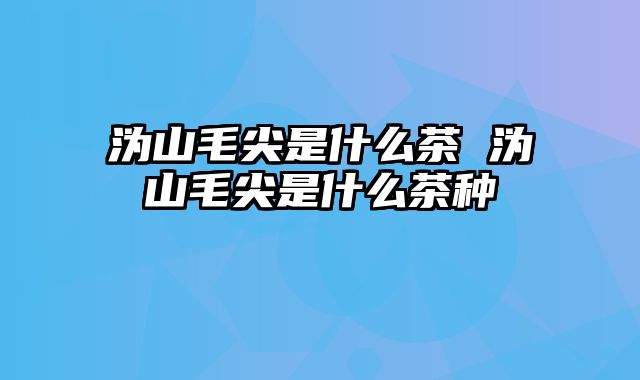 沩山毛尖是什么茶 沩山毛尖是什么茶种
