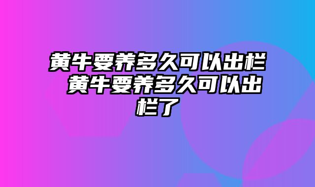 黄牛要养多久可以出栏 黄牛要养多久可以出栏了