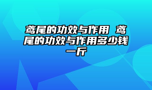 鸢尾的功效与作用 鸢尾的功效与作用多少钱一斤