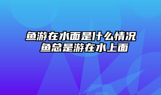 鱼游在水面是什么情况 鱼总是游在水上面