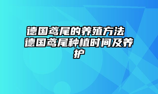 德国鸢尾的养殖方法 德国鸢尾种植时间及养护