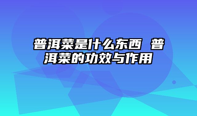 普洱菜是什么东西 普洱菜的功效与作用