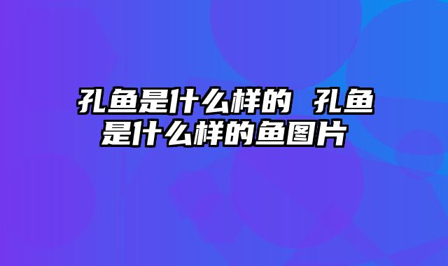 孔鱼是什么样的 孔鱼是什么样的鱼图片
