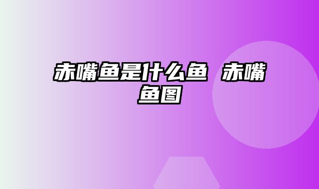 赤嘴鱼是什么鱼 赤嘴鱼图