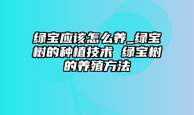 绿宝应该怎么养_绿宝树的种植技术 绿宝树的养殖方法