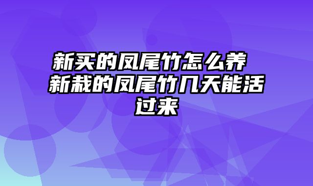 新买的凤尾竹怎么养 新栽的凤尾竹几天能活过来