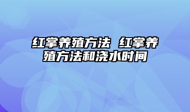 红掌养殖方法 红掌养殖方法和浇水时间