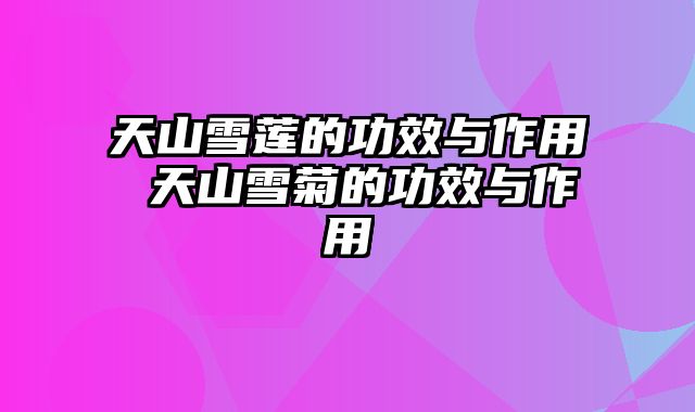 天山雪莲的功效与作用 天山雪菊的功效与作用