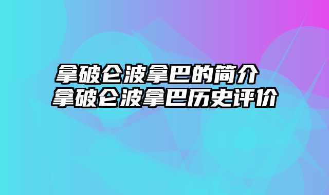 拿破仑波拿巴的简介 拿破仑波拿巴历史评价