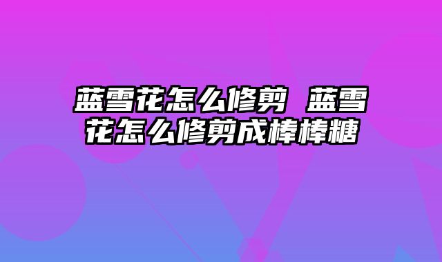蓝雪花怎么修剪 蓝雪花怎么修剪成棒棒糖