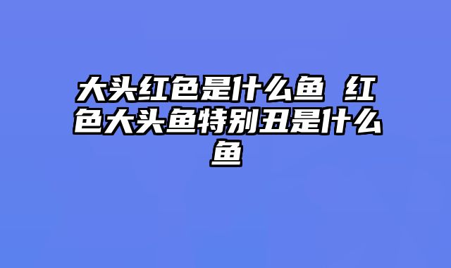 大头红色是什么鱼 红色大头鱼特别丑是什么鱼