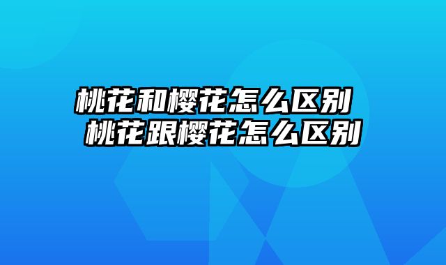 桃花和樱花怎么区别 桃花跟樱花怎么区别