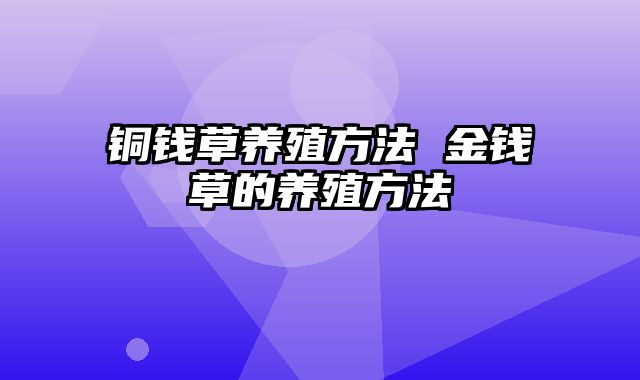 铜钱草养殖方法 金钱草的养殖方法