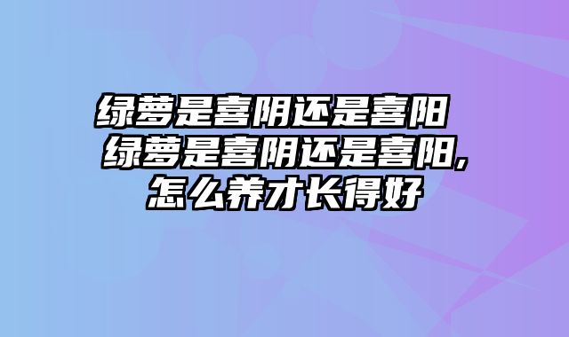 绿萝是喜阴还是喜阳 绿萝是喜阴还是喜阳,怎么养才长得好
