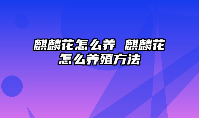 麒麟花怎么养 麒麟花怎么养殖方法