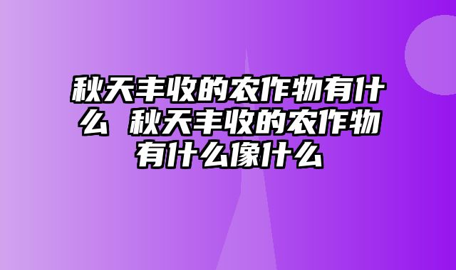 秋天丰收的农作物有什么 秋天丰收的农作物有什么像什么