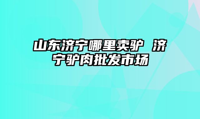 山东济宁哪里卖驴 济宁驴肉批发市场