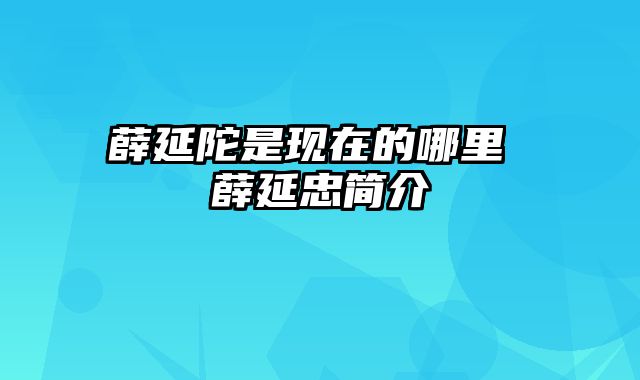 薛延陀是现在的哪里 薛延忠简介