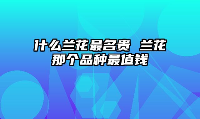 什么兰花最名贵 兰花那个品种最值钱