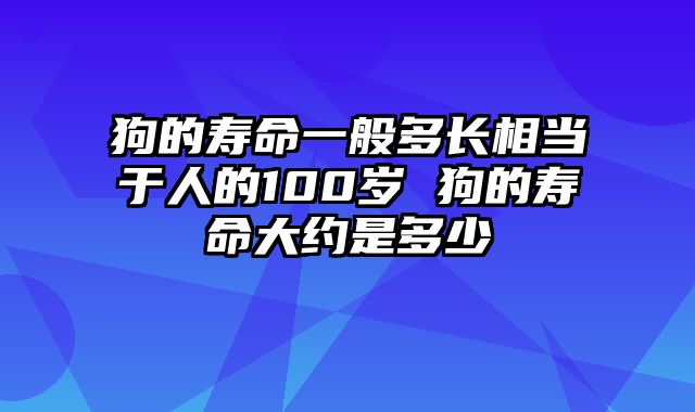 狗的寿命一般多长相当于人的100岁 狗的寿命大约是多少