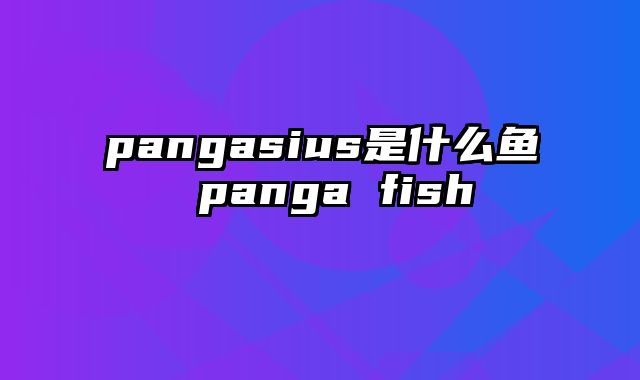 pangasius是什么鱼 panga fish