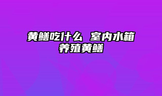 黄鳝吃什么 室内水箱养殖黄鳝