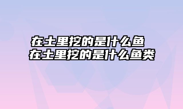 在土里挖的是什么鱼 在土里挖的是什么鱼类