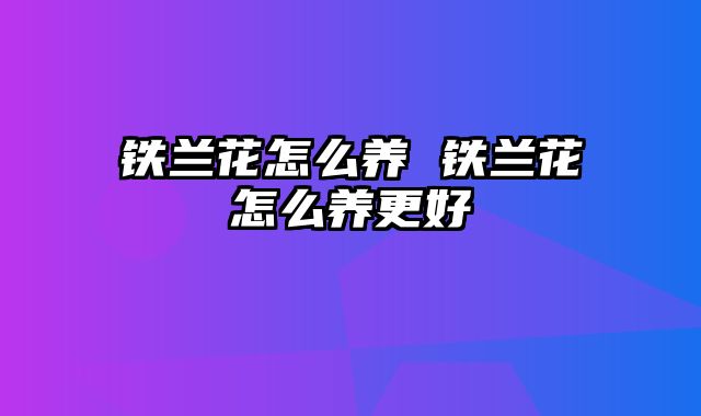 铁兰花怎么养 铁兰花怎么养更好