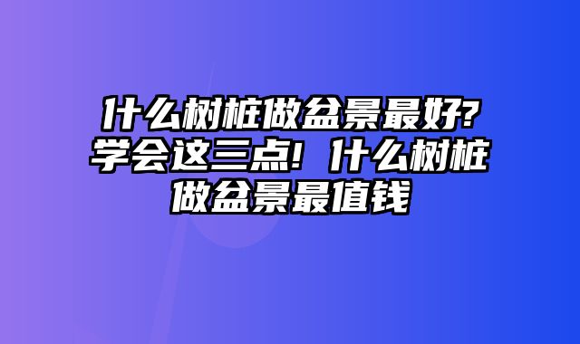 什么树桩做盆景最好?学会这三点! 什么树桩做盆景最值钱