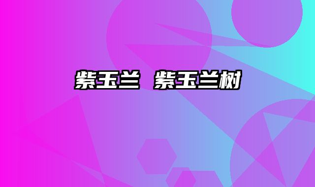 紫玉兰 紫玉兰树