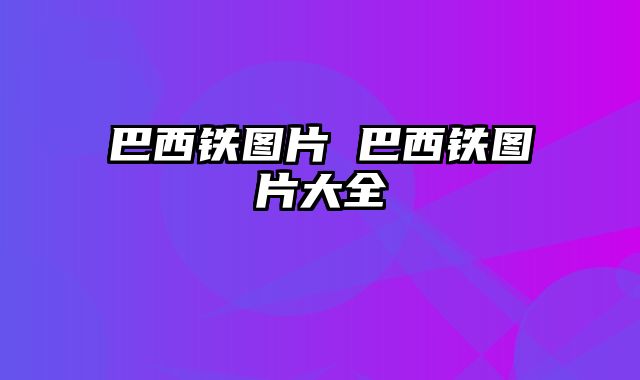 巴西铁图片 巴西铁图片大全