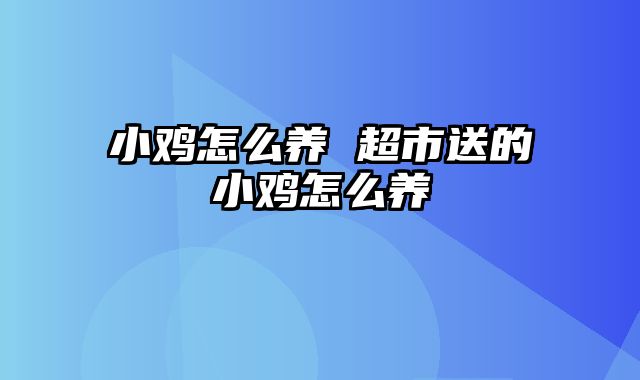 小鸡怎么养 超市送的小鸡怎么养
