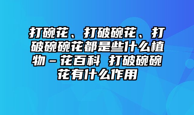 打碗花、打破碗花、打破碗碗花都是些什么植物–花百科 打破碗碗花有什么作用